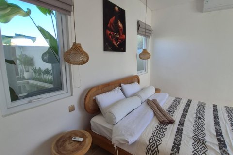 Вилла с 2 спальнями в Canggu, Бадунг, Индонезия № 13752 9