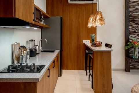 Вилла с 1 спальней в Canggu, Бадунг, Индонезия № 8874 8