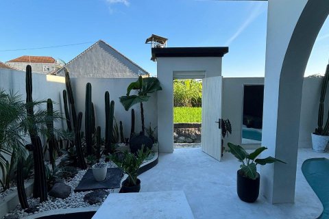 2 bedrooms Villa in Canggu, Badung,  No. 9066 19