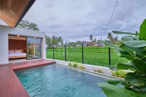 2 bedrooms Villa in Ubud, Gianyar,  No. 9071 2