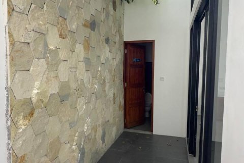 Вилла с 2 спальнями в Canggu, Бадунг, Индонезия № 8875 13