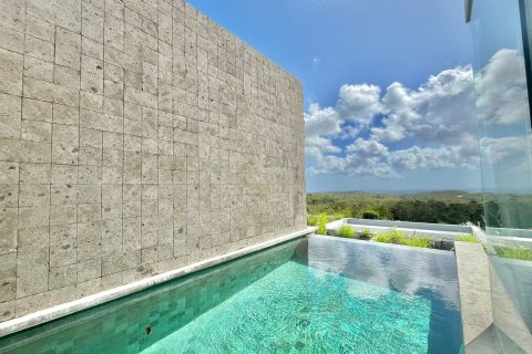 1 bedroom Villa in Kuta, Badung, No. 9089 2