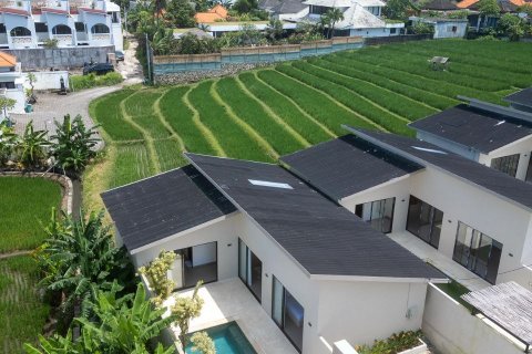 Вилла с 2 спальнями в Денпасар,  № 9177 3