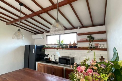 2 bedrooms Villa in Denpasar,  No. 9180 11