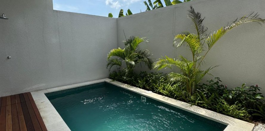 2 bedrooms Villa in Denpasar, Indonesia No. 8990