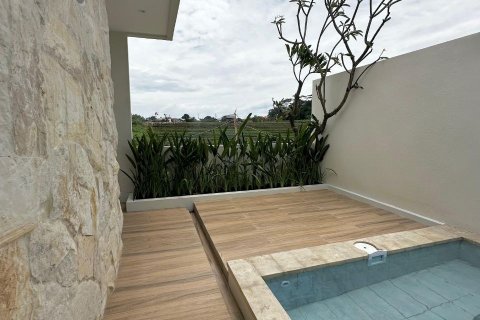 2 bedrooms Villa in Canggu, Badung, Indonesia No. 8989 14