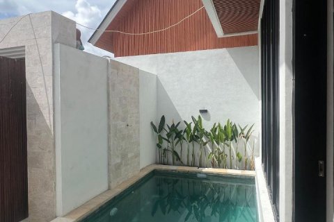 2 bedrooms Villa in Canggu, Badung, Indonesia No. 8993 13