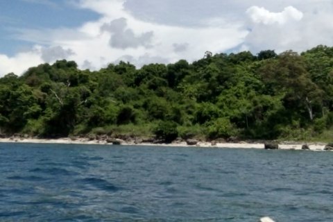 Land in Indonesia No. 11615 3