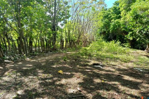 Land in Indonesia No. 11615 4