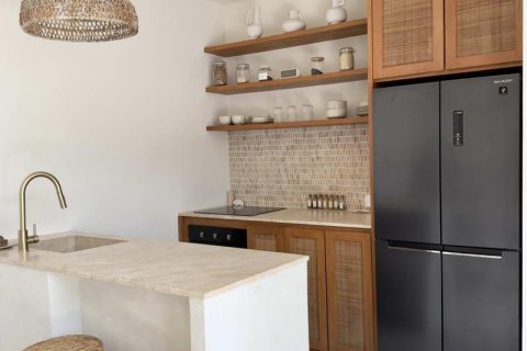 2 bedrooms Villa in Pererenan, Mengwi, Badung, Indonesia No. 9746 3