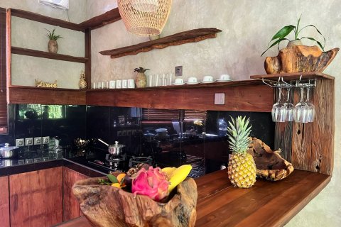 142m2 Villa in Ubud, Gianyar, Indonesia No. 13719 3