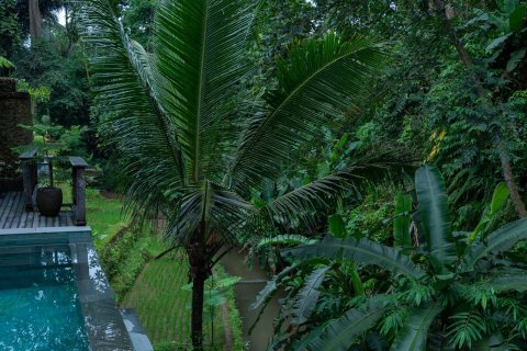 142m2 Villa in Ubud, Gianyar, Indonesia No. 13719 4