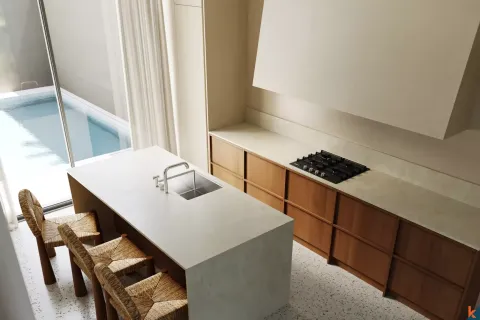 2 bedrooms Villa in Pererenan, Mengwi, Badung, Indonesia No. 10610 5