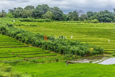 3 bedrooms Villa in Tumbak Bayuh, Mengwi, Badung, Indonesia No. 12822 13