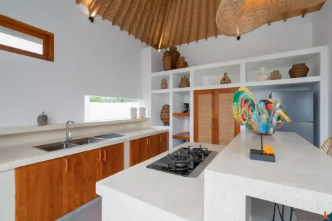 2 bedrooms Villa in Ubud, Gianyar, Indonesia No. 10680 15