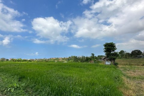 Земельный участок в Canggu, Бадунг, Индонезия № 11411 2