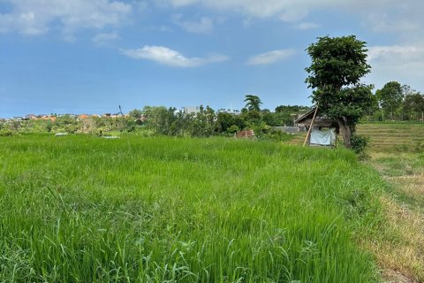 Земельный участок в Canggu, Бадунг, Индонезия № 11411