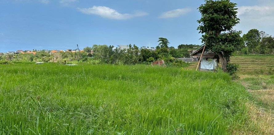 Земельный участок в Canggu, Бадунг, Индонезия № 11411
