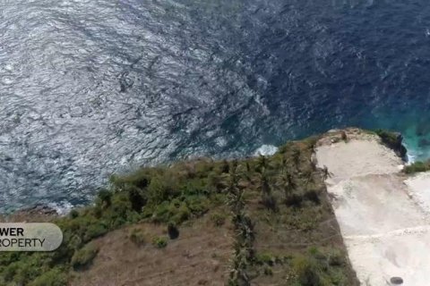 1725m2 Land in Nusa Penida, Klungkung,  No. 9160 3