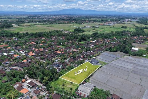 2870m2 Land in Kaba-Kaba, Kediri, Tabanan, Indonesia No. 9666