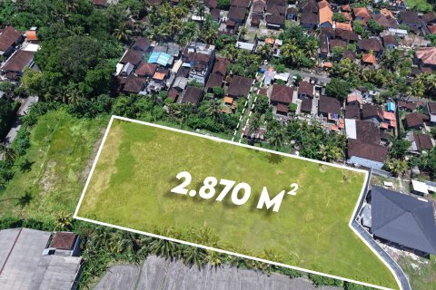 2870m2 Land in Kaba-Kaba, Kediri, Tabanan, Indonesia No. 9666 2