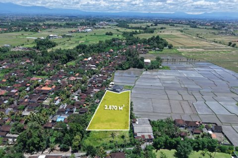 2870m2 Land in Kaba-Kaba, Kediri, Tabanan, Indonesia No. 9666 3