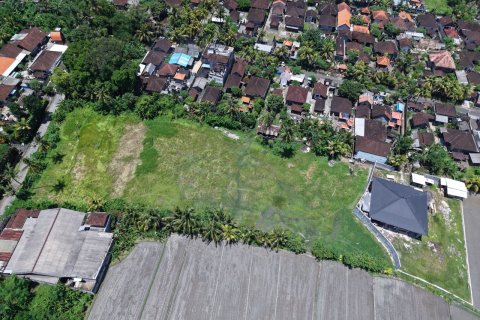2870m2 Land in Kaba-Kaba, Kediri, Tabanan, Indonesia No. 9666 4