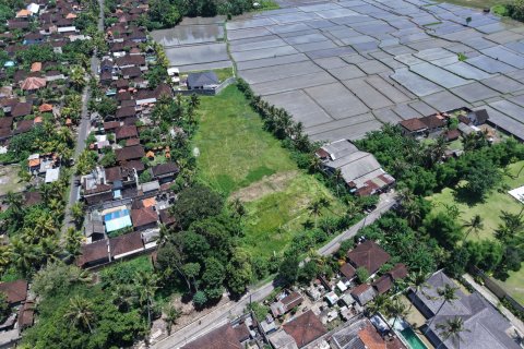 2870m2 Land in Kaba-Kaba, Kediri, Tabanan, Indonesia No. 9666 6