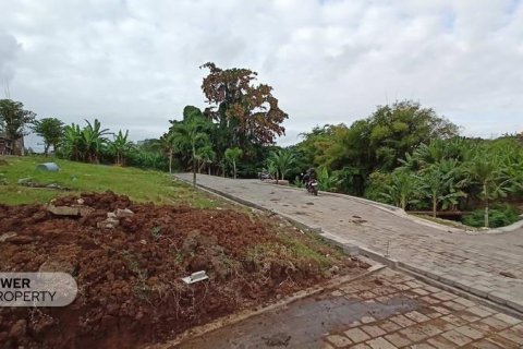 105m2 Land in Canggu, Badung,  No. 9570 5