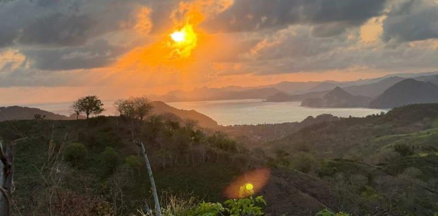 12000m2 Land in  No. 9572