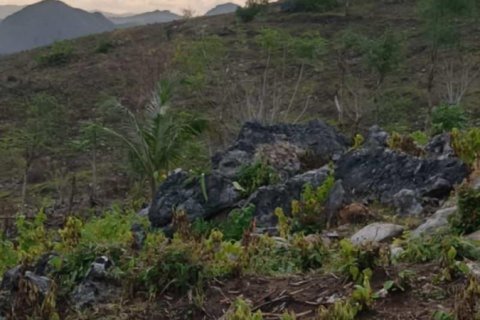 12000m2 Land in  No. 9572 4