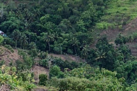 12000m2 Land in  No. 9572 5