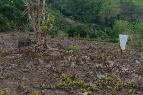 12000m2 Land in  No. 9572 2