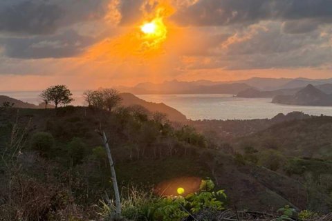 12000m2 Land in  No. 9572 9