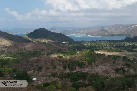 12000m2 Land in  No. 9572 7