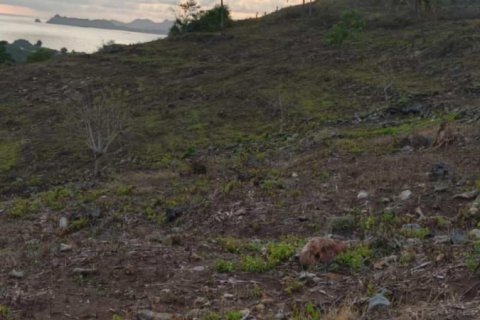 12000m2 Land in  No. 9572 11