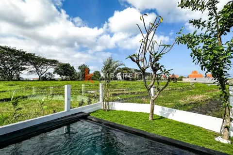 2 bedrooms Villa in Munggu, Mengwi, Badung, Indonesia No. 12854 7