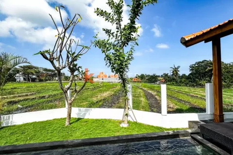 2 bedrooms Villa in Munggu, Mengwi, Badung, Indonesia No. 12854 6