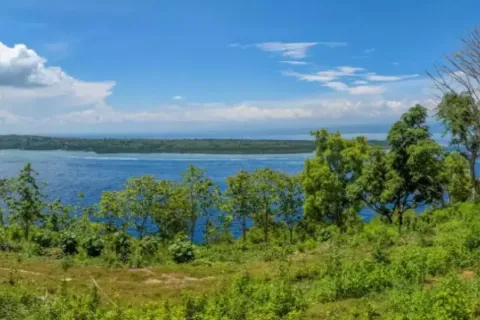 Земельный участок в Nusa Penida, Клунгкунг, Индонезия № 10515 9