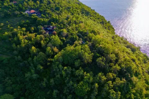 Земельный участок в Nusa Penida, Клунгкунг, Индонезия № 10515 8