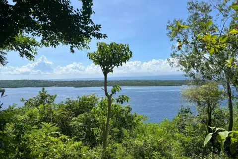 Земельный участок в Nusa Penida, Клунгкунг, Индонезия № 10515 10