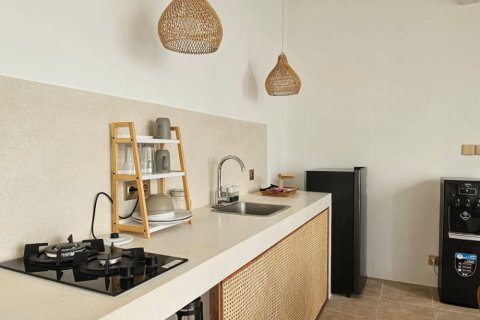 Вилла с 1 спальней в Бадунг, Индонезия № 11084 5