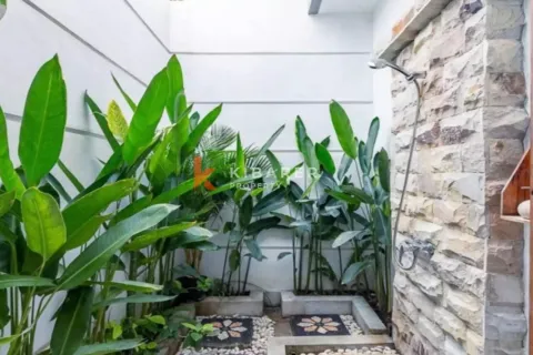 3 bedrooms Villa in Canggu, Badung, Indonesia No. 12862 4