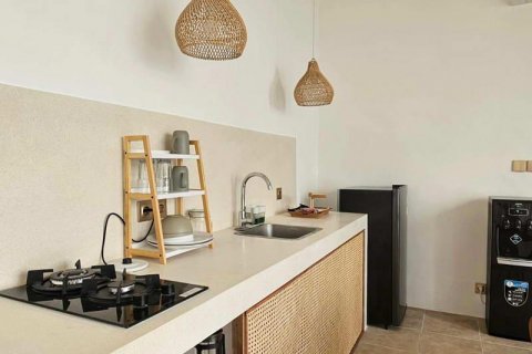 1 bedroom Villa in Tampaksiring, Gianyar,  No. 9046 5