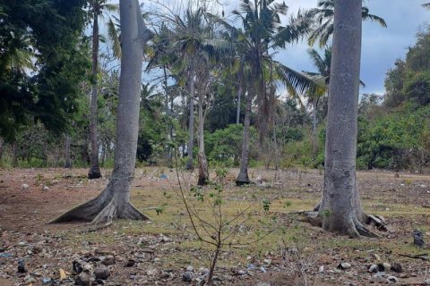 Земельный участок 27200м2 в № 8713 28