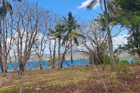 Земельный участок 27200м2 в № 8713 12