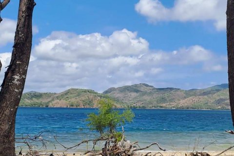 Земельный участок 27200м2 в № 8713 22