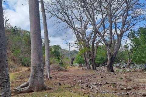 Земельный участок 27200м2 в № 8713 30