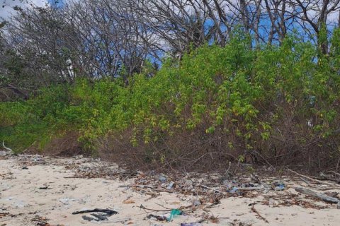 Земельный участок 27200м2 в № 8713 14