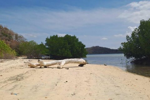 Земельный участок 27200м2 в № 8713 7